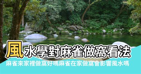 麻雀 風水|【麻雀 風水】麻雀 風水: 打破迷思，提升家中氣場，帶來驚喜與好。